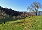 80 Dai verdi prati di Pos.Castello vista verso la Chiesa di Miragolo S. Salvatore